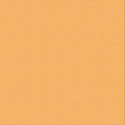 CARD STOCK 216GSM 5pack - Lantana 12 x 12